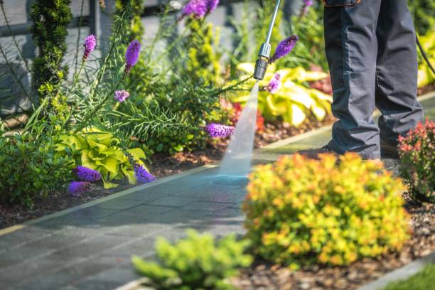  Tillson, NY Pressure Washing Pros